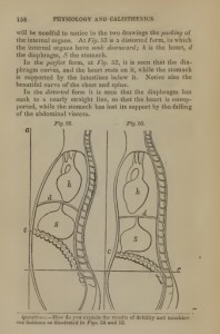 Catharine Beecher was addressing postural concerns of 90 degree seat angles in 1856!